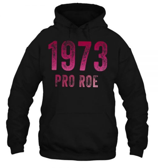Pro Choice Shirts 1973 Protect Roe V Wade Shirts Womens T Shirt