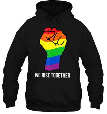 Gay Pride Rainbow Flag Lgbtq We Rise Together Cool Lgbt Gift T Shirt