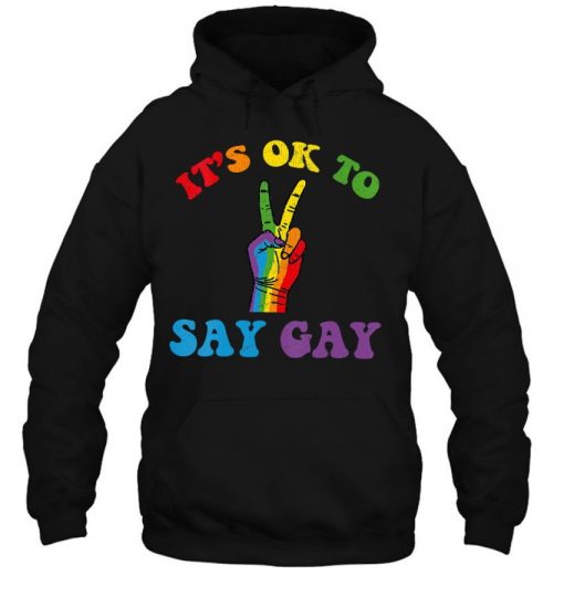 It’s Ok To Say Gay – Florida It’s Ok To Say Gay Lgbt Pride T Shirt