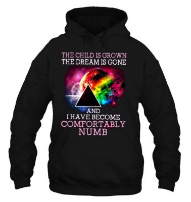 The Child Is Grown The Dream Is Gone And I Have Become Comfortably Numb Pink Floyd Hoodie