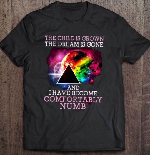 The Child Is Grown The Dream Is Gone And I Have Become Comfortably Numb Pink Floyd Hoodie