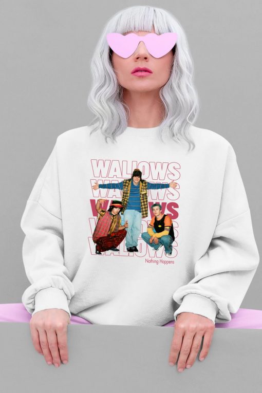 Wallows T Shirt Dylan Minnette Braeden Lemasters Cole Preston T-Shirt