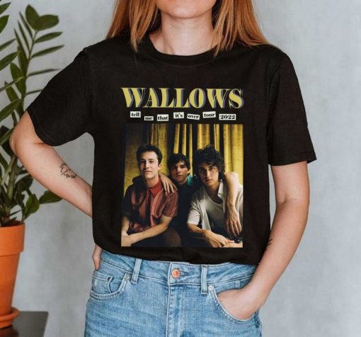 Wallows Tour 2022 Wallows Indie Rock Band T Shirt