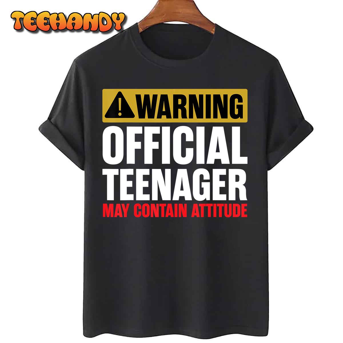 13 Birthday Official Teenager Boy 13yr Math 13th Birthday T-Shirt