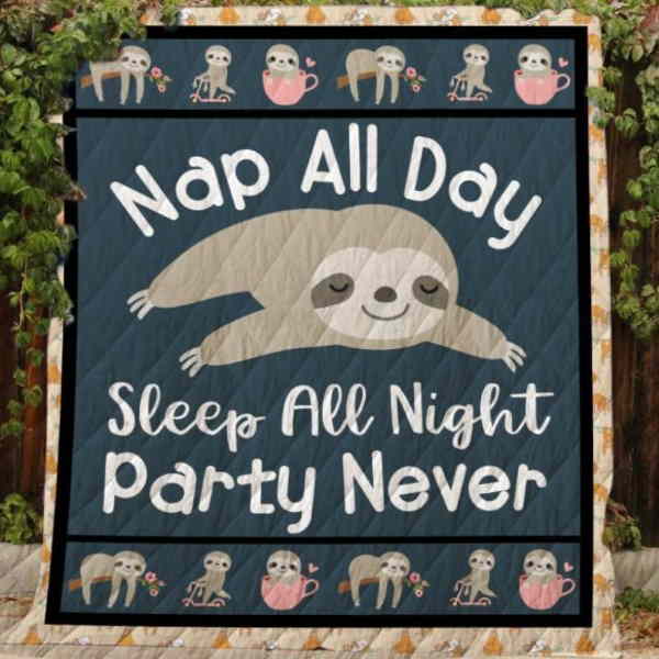 Nap All Day Sleep All Night 3D Quilt Blanket