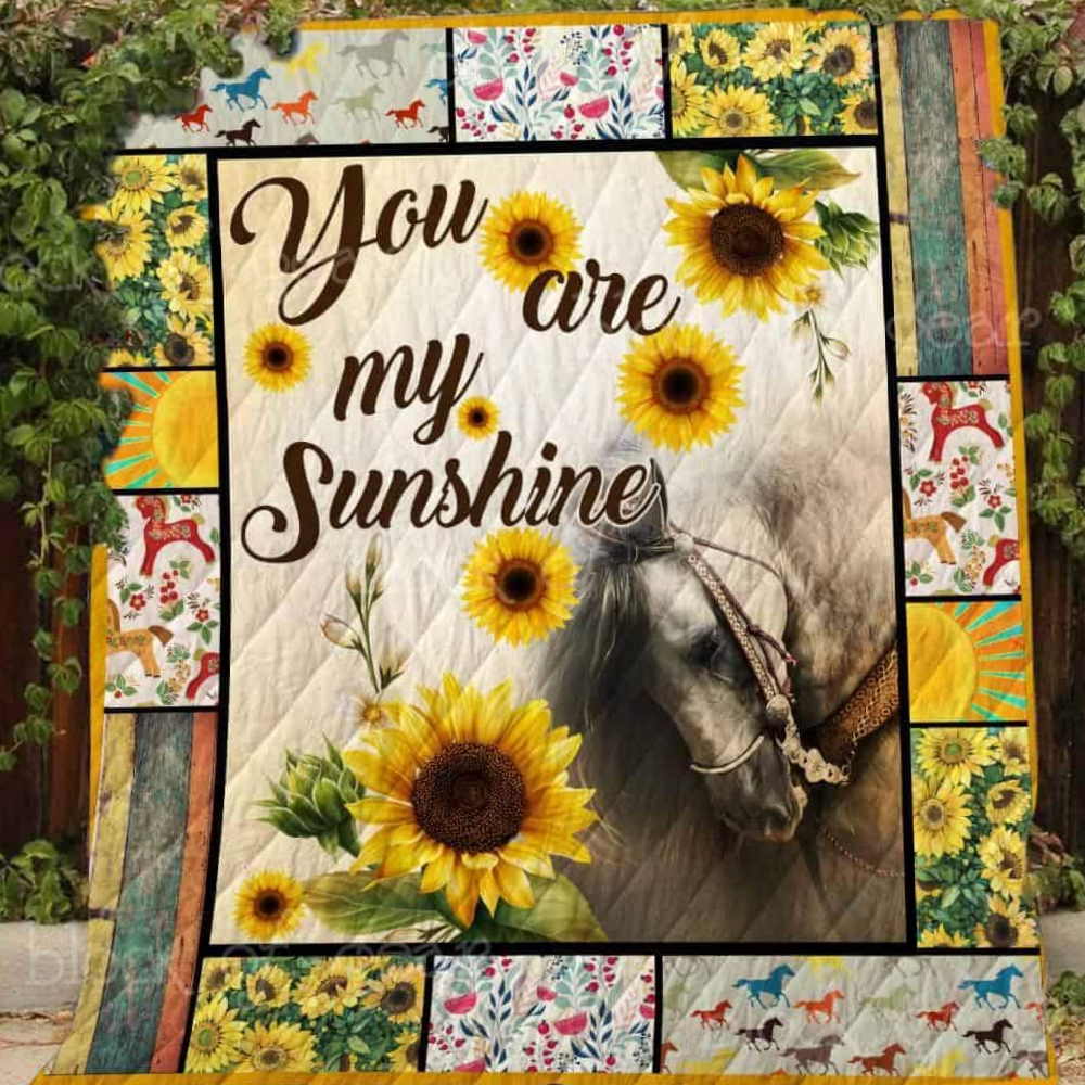 You Are My Sunshine 3D Quilt Blanket