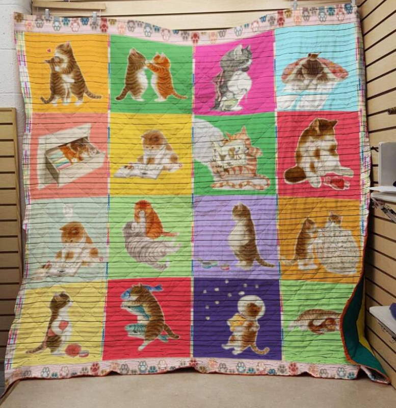 Big Belly Cat 3D Quilt Blanket