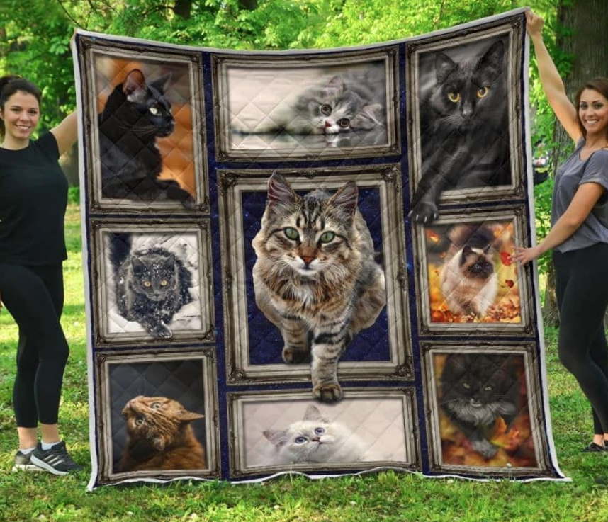 Cat Cute The Cat  All Over Printed 3D Quilt Blanket