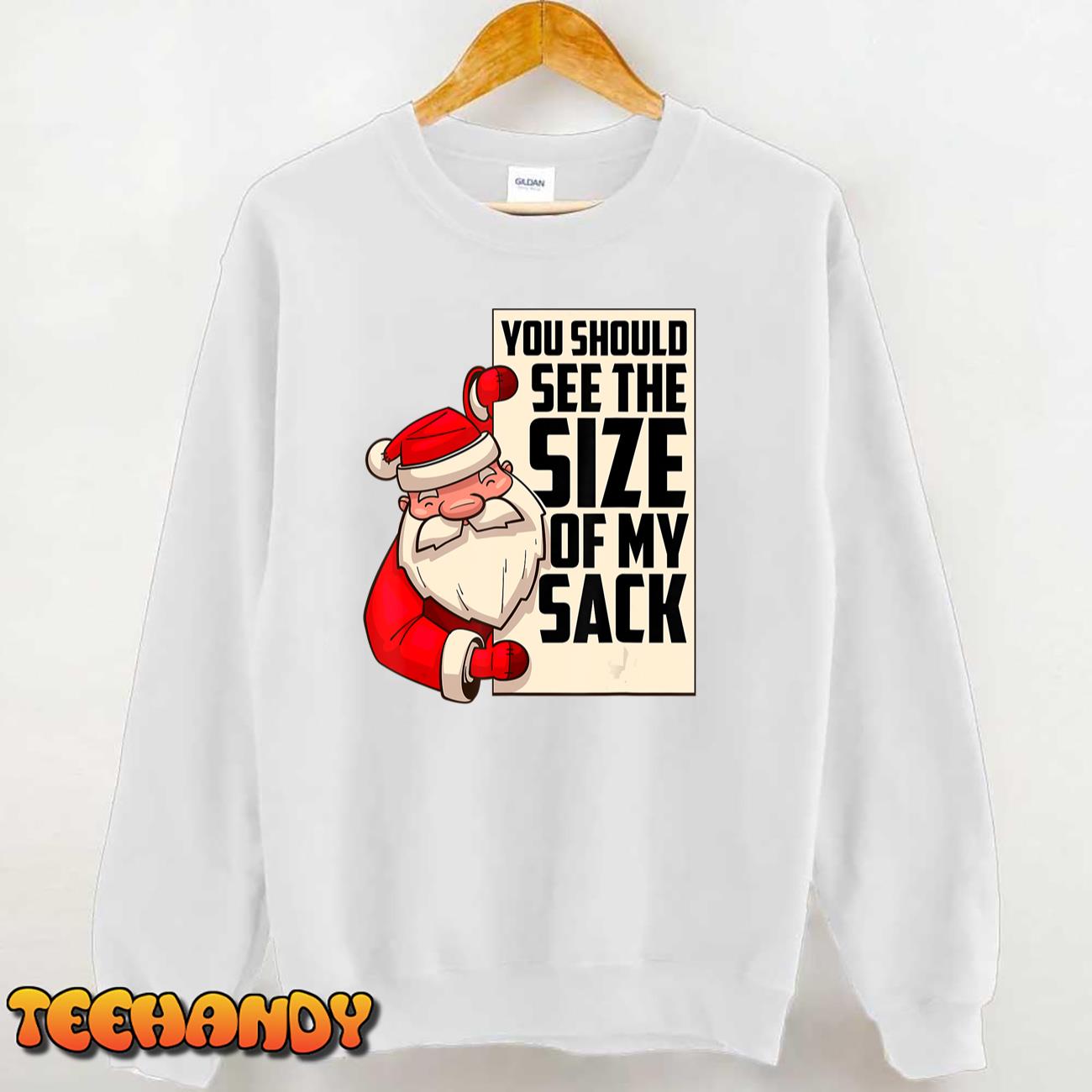 Mens You Should See The Size Of My Sack Funny Santa Christmas T-Shirt