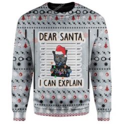 Cat Can Explain Christmas 3D Sweater