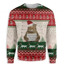 Cat Prisoner I Knocked Over The Christmas 3D Sweater