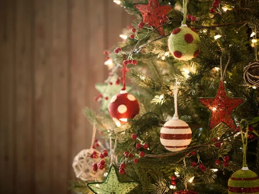 Christmas tree holiday pine