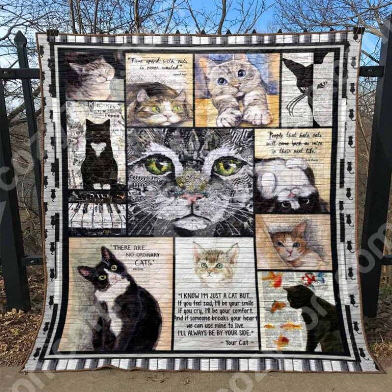 Cat No Ordinary Cats Quilt Blanket