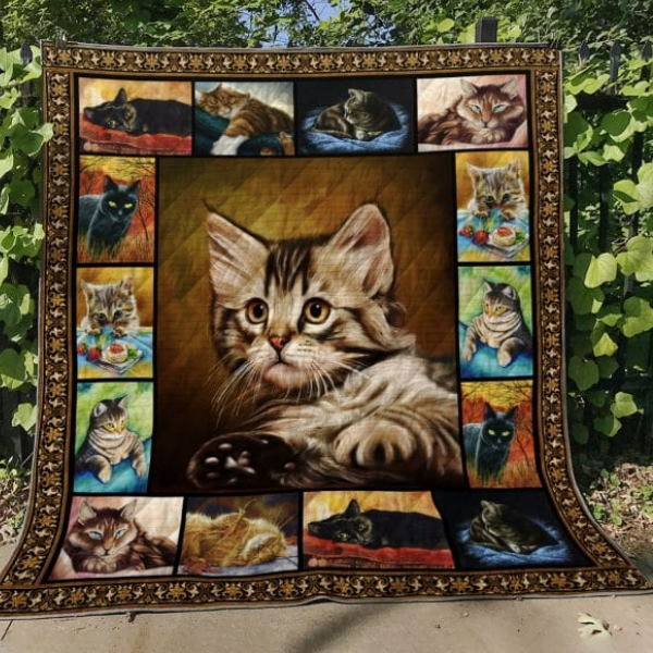 Cat Shy Cat Quilt Blanket