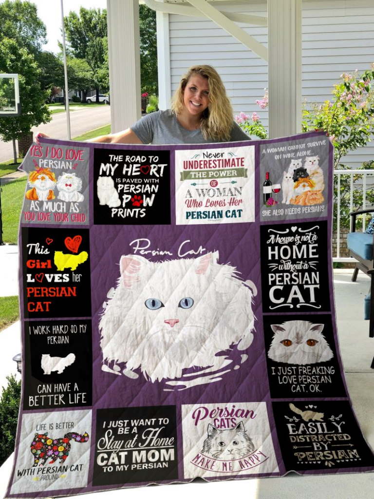 Persian Cat 3D Quilt Blanket