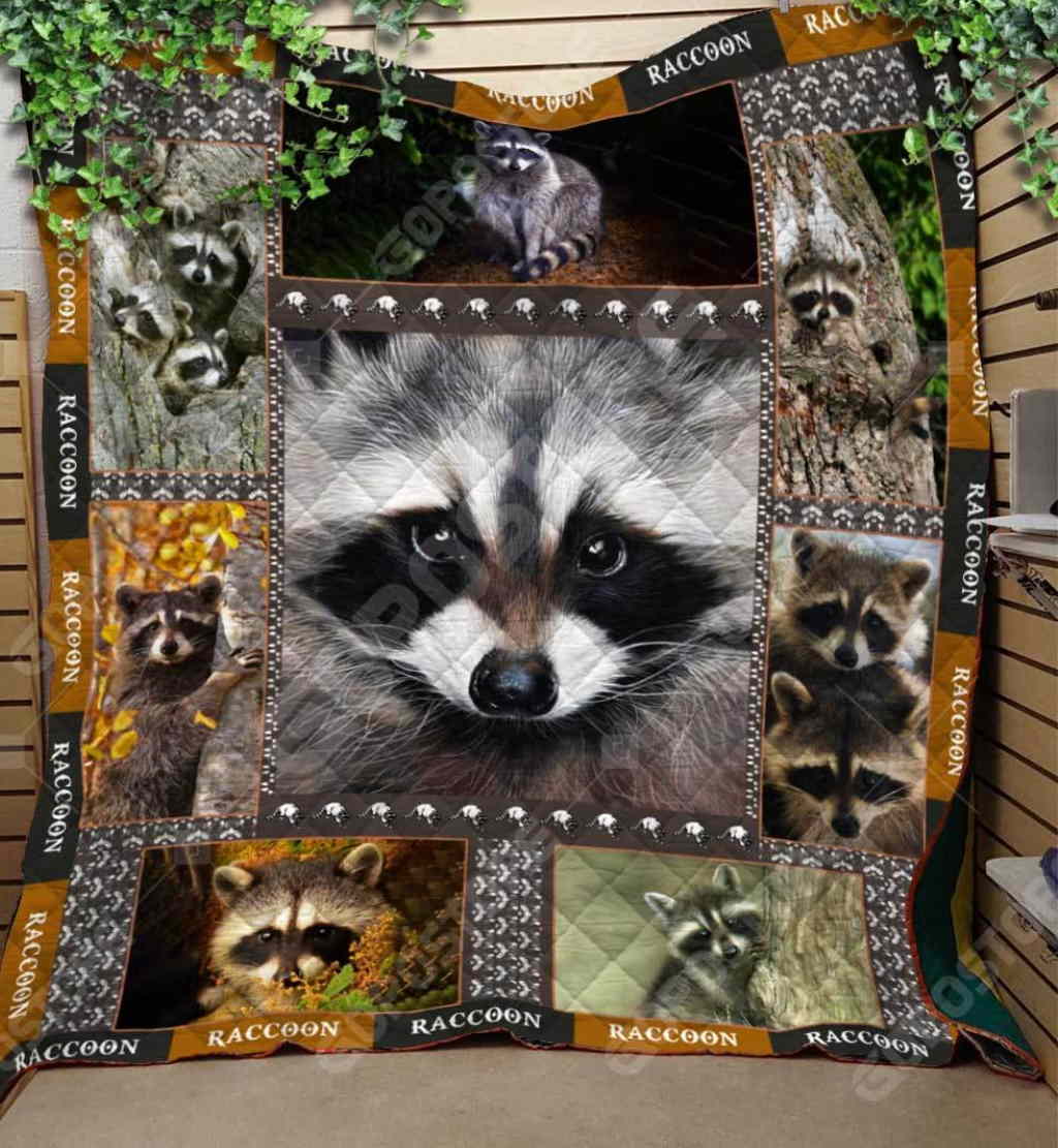 Raccoon Art Like 3D Quilt Blanket