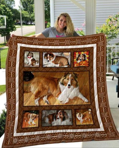 Shetland Sheep Dog Look Back At It Quilt Blanket