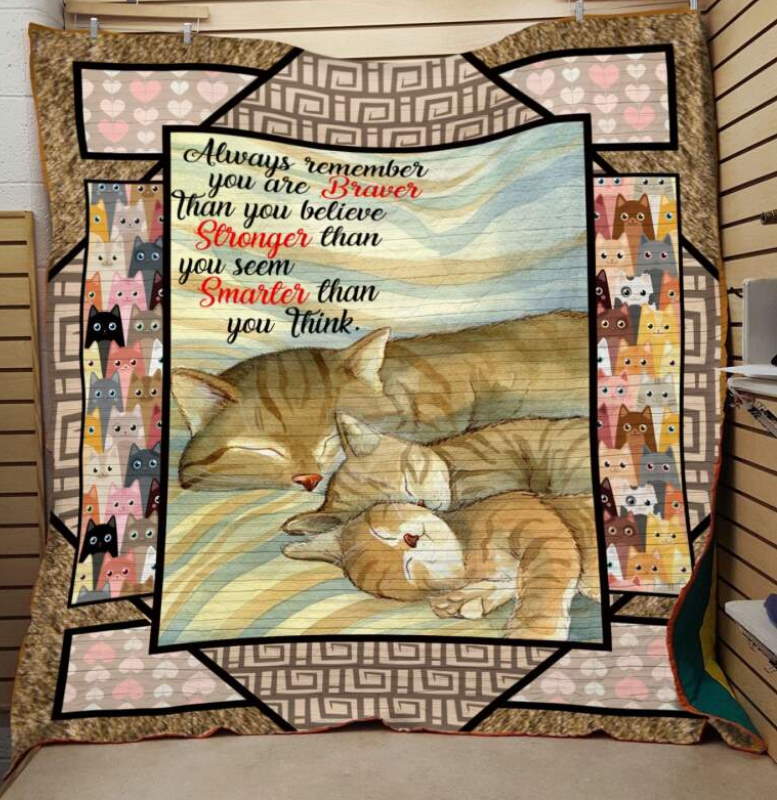 Smarter Than You Think Cat 3D Quilt Blanket