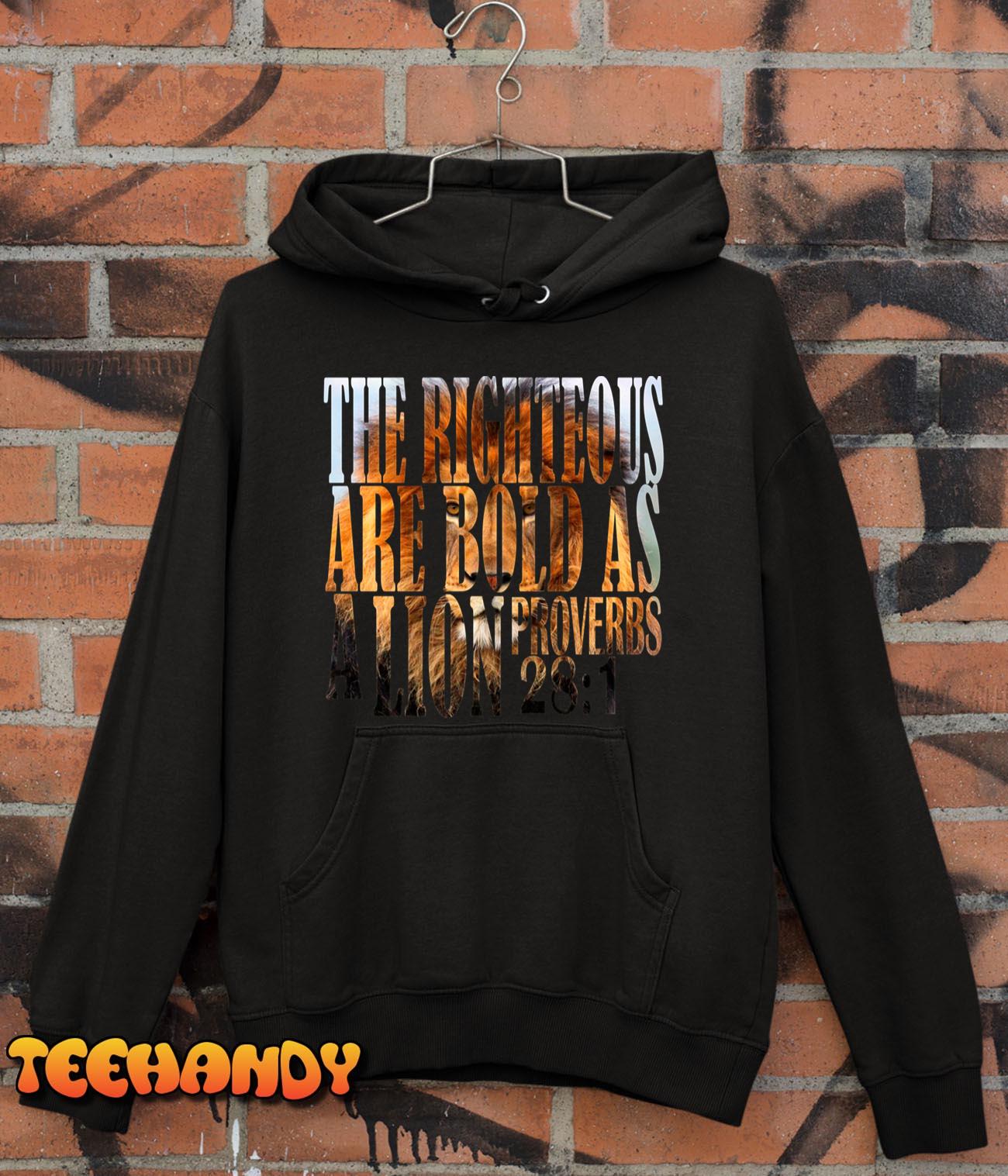 The Righteous Are Bold As A Lion Proverbs 281 Bible Verse Pullover Hoodie