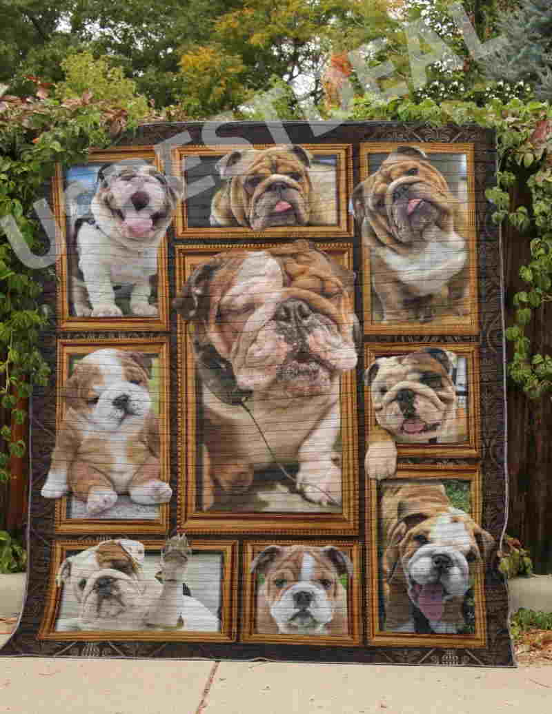 Bulldog Cute Puppy Bulldog Quilt Blanket