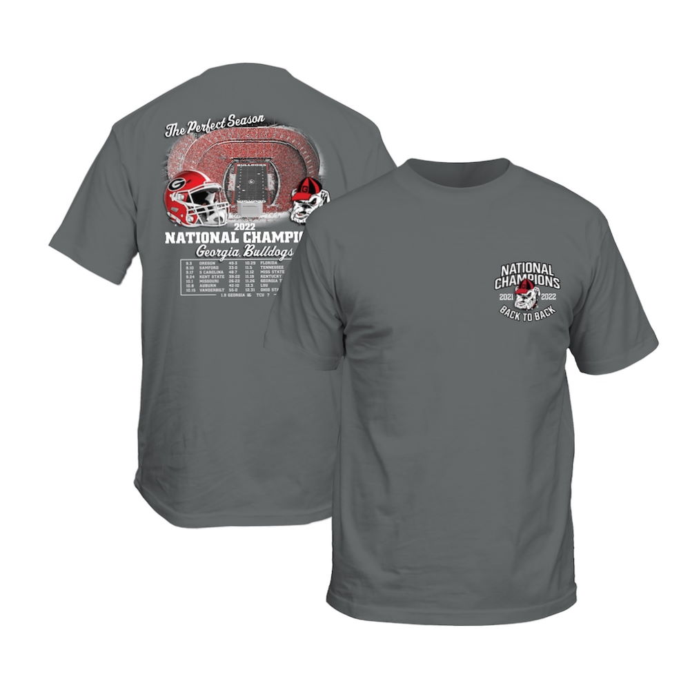 Georgia Bulldogs College Football Playoff 2022 National Champions Recap T-Shirt