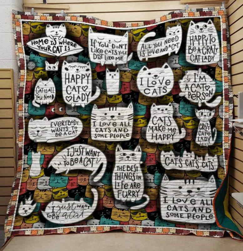 I Just Want To Becat 3D Customized Quilt Blanket