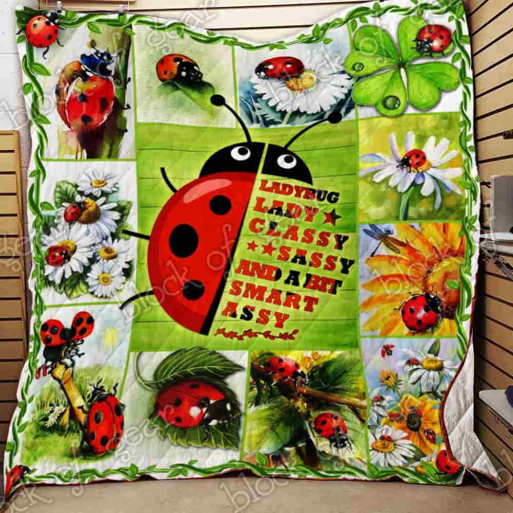 Ladybug 3D Quilt Blanket