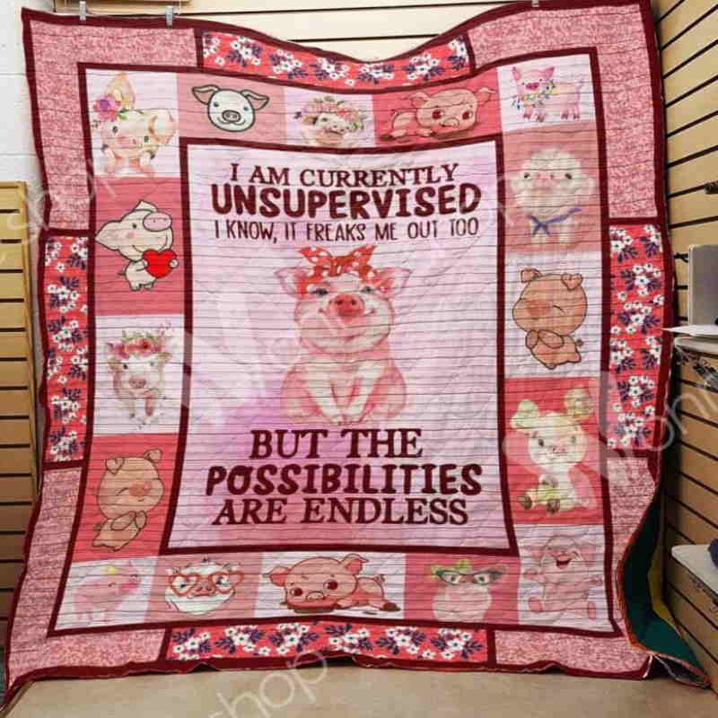 Pig Possibilities Are Endless Quilt Blanket