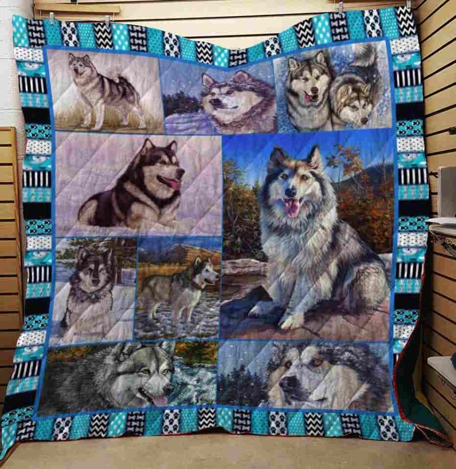 Alaskan Malamute Run For Snow Quilt Blanket