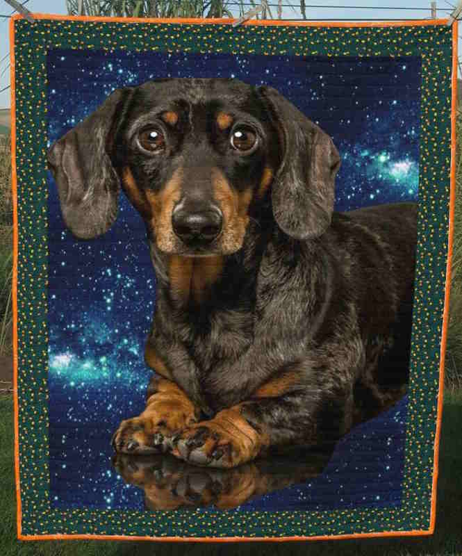 Dachshund My Universe At Home 3D Quilt Blanket