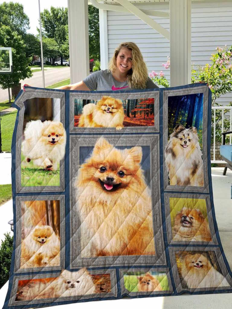 Dog Pomeranian 3D Quilt Blanket