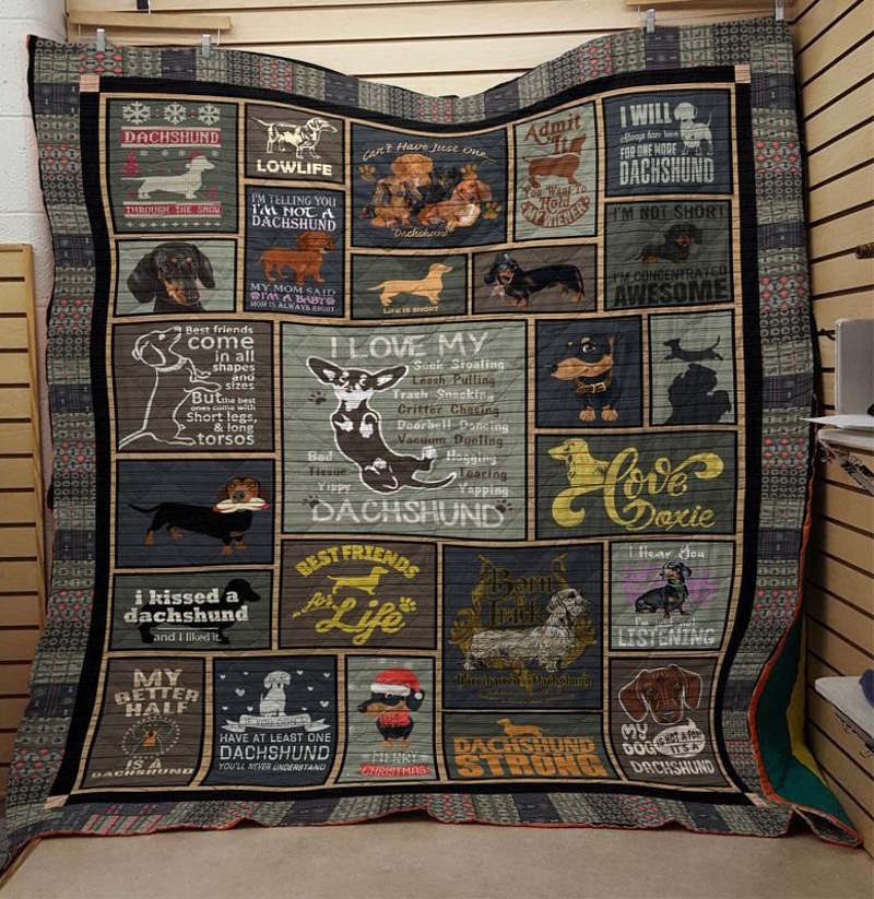 Kissed Dachshund 3D Quilt Blanket