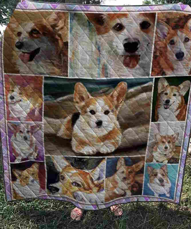 Sad Corgi 3D Quilt Blanket