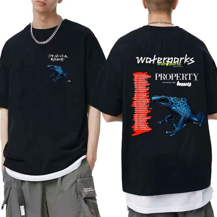 WaterParks Band Shirt, Waterparks Intellectual Property Tour Shirt