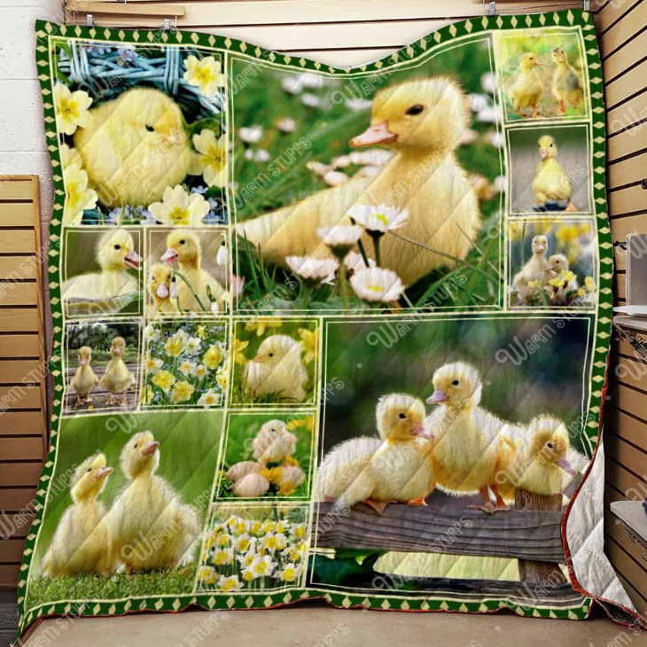 Baby Ducks 3D Quilt Blanket