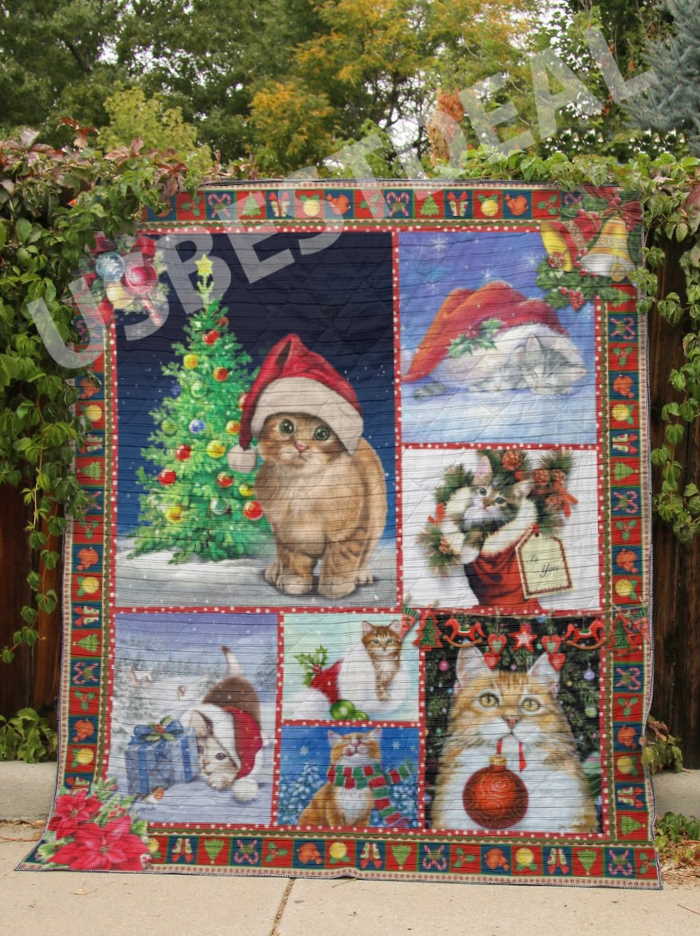 Cat Gift For You 3D Quilt Blanket