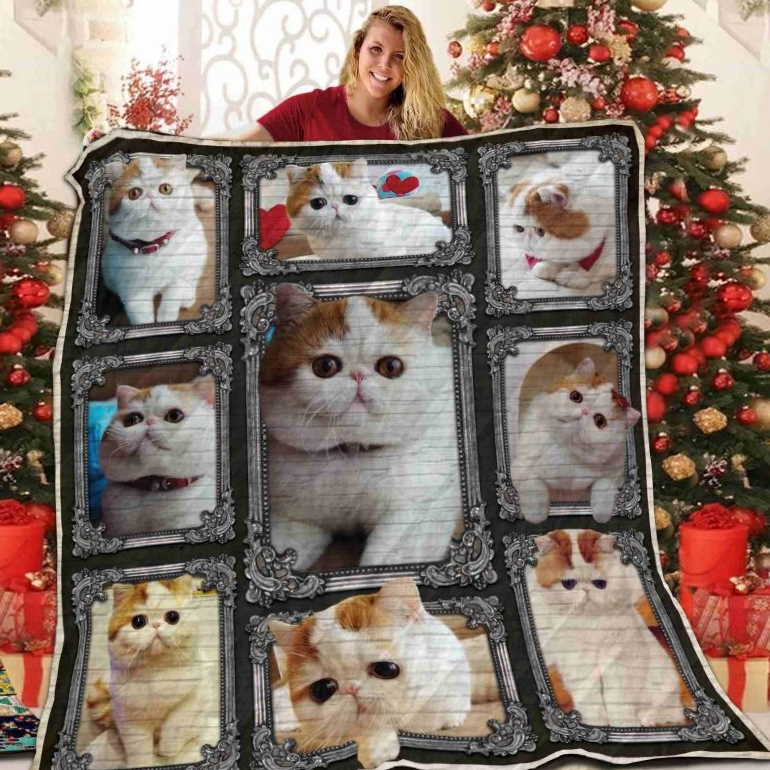 Cat Happy For You 3D Quilt Blanket