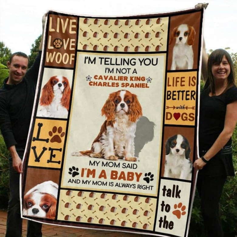 Cavalier King Charles Spanieli’M Right 3D Quilt Blanket