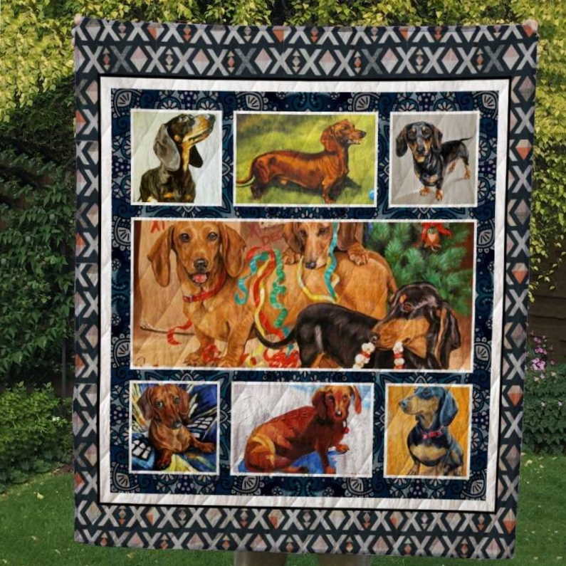 Dachshund Look Pretty 3D Quilt Blanket