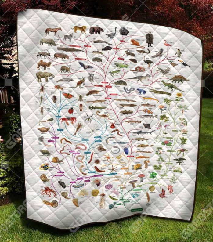 Evolutionary 3D Customized Quilt Blanket