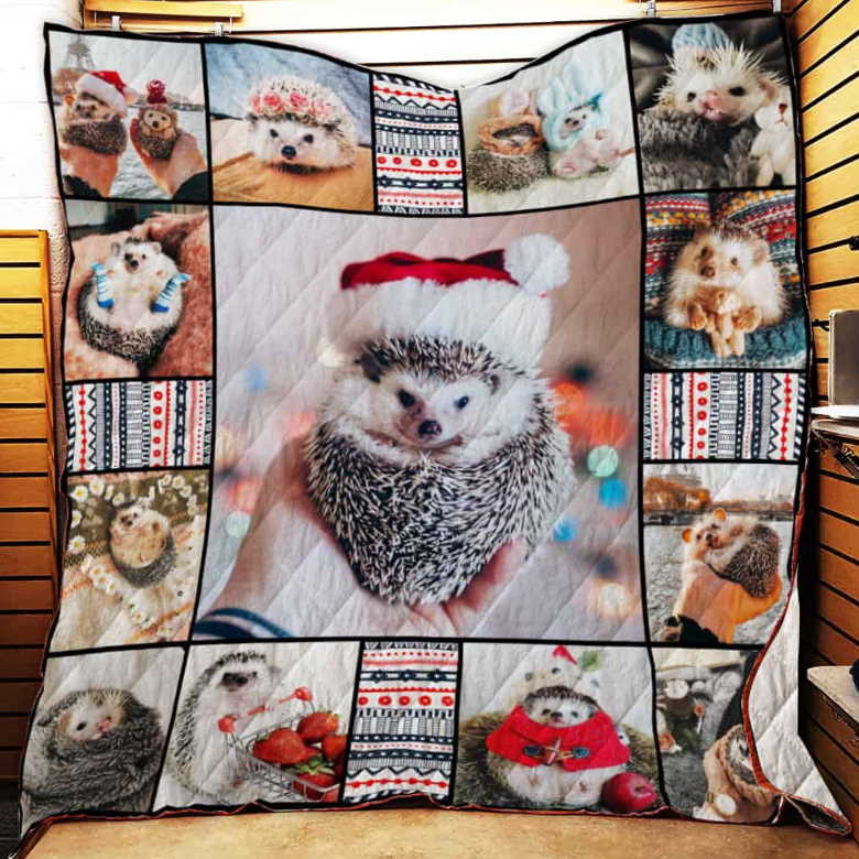 Hedgehog Washable 3D Customized Quilt Blanket