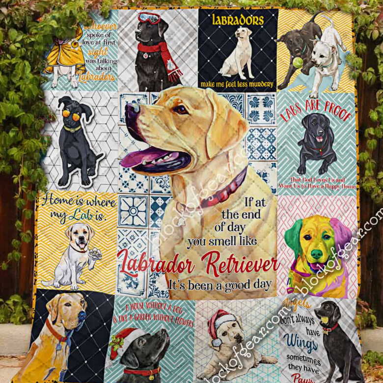 Labrador Retriever It’S Good Day 3D Quilt Blanket