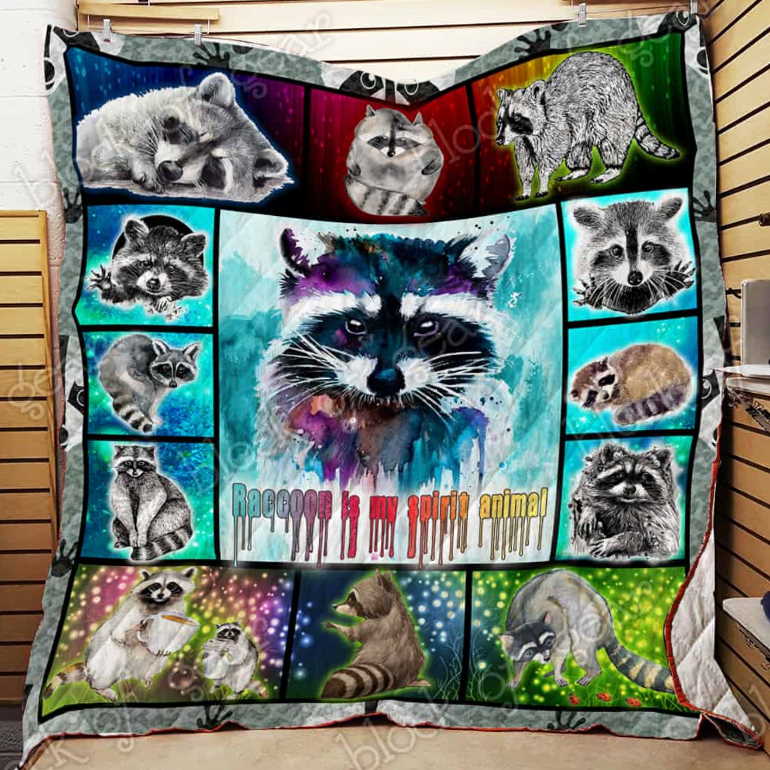 Nice Raccoon 3D Quilt Blanket