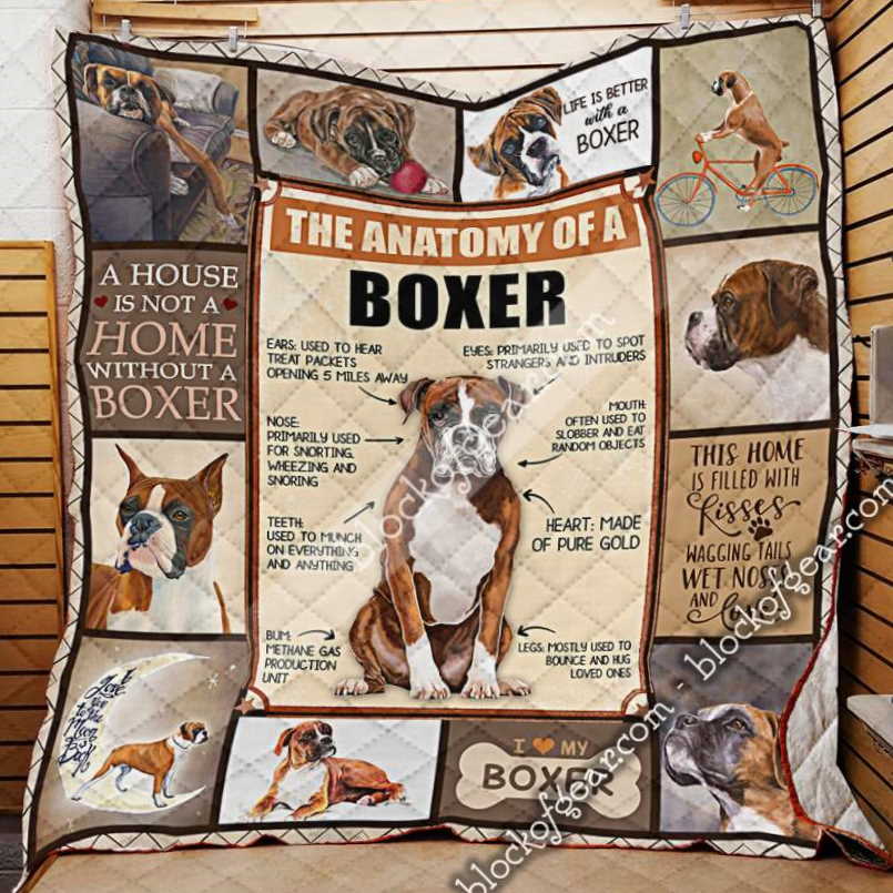 The Anatomy Of Boxer 3D Quilt Blanket