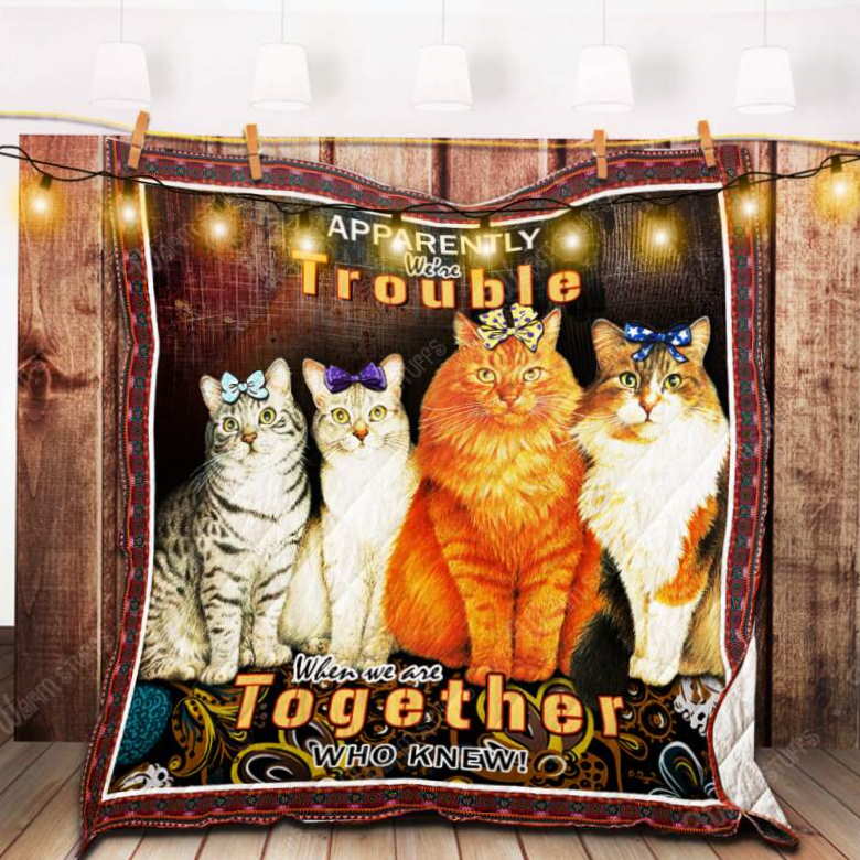 We Are Together Cat 3D Customized Quilt Blanket