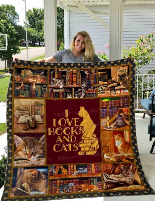 Cats And Books 3D Quilt Blanket