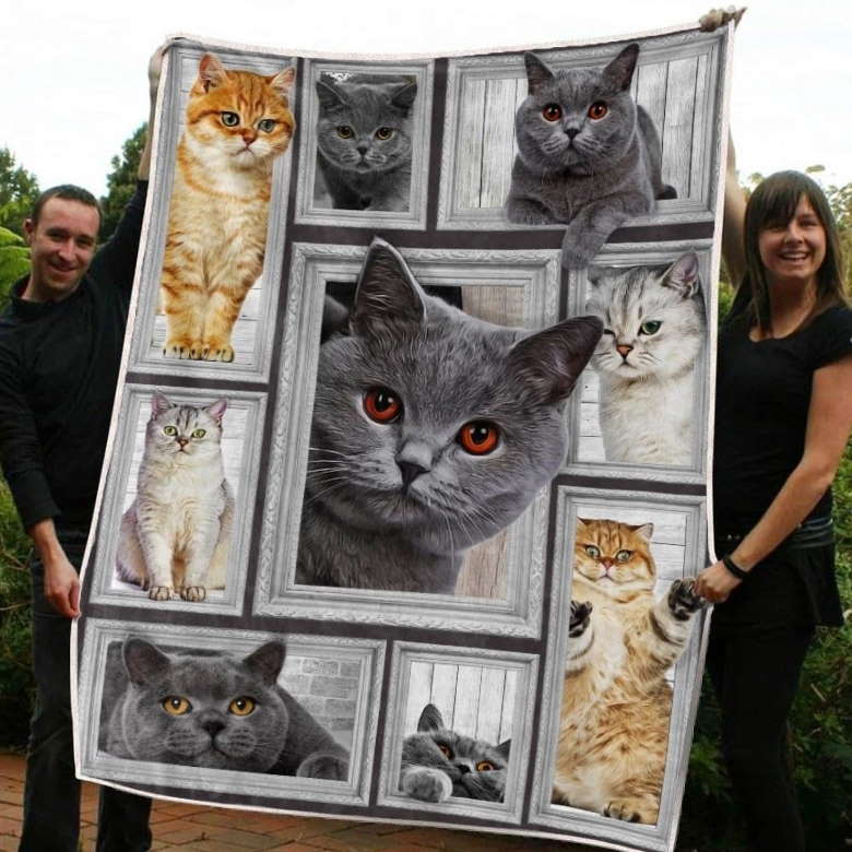 Lkh2208Cat Big Love With Cats 3D Quilt Blanket