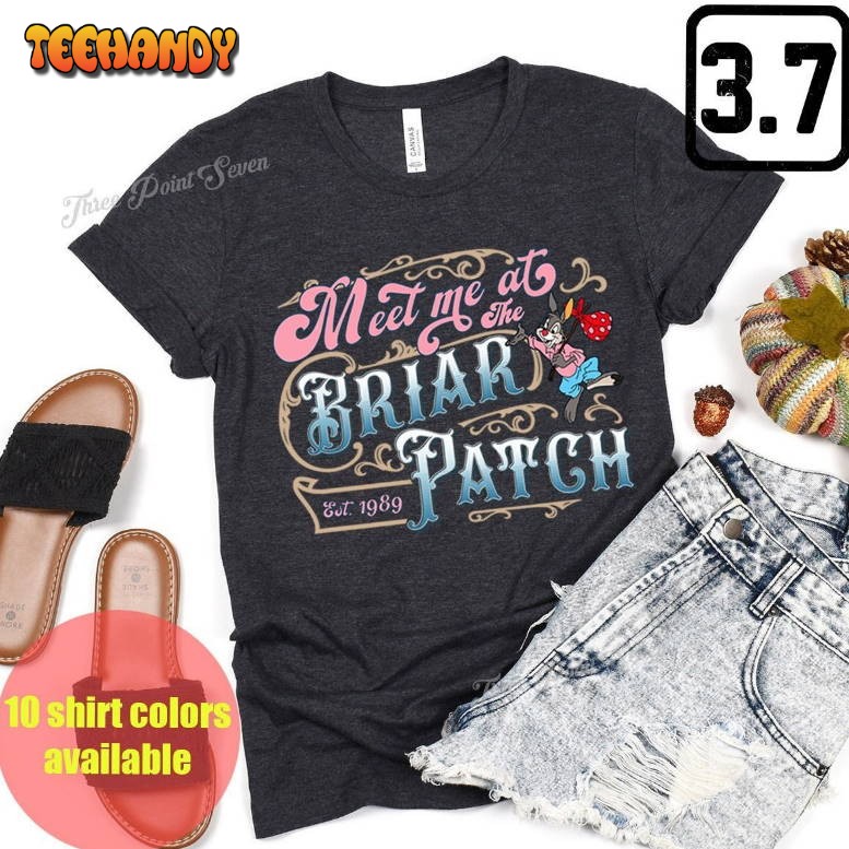 Meet Me at The Briar Patch Shirt, Splash Mountain Disney Family Matching Shirt