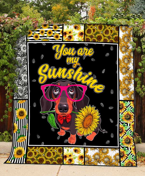 You Are My Sunshine Dachshund 3D Quilt Blanket