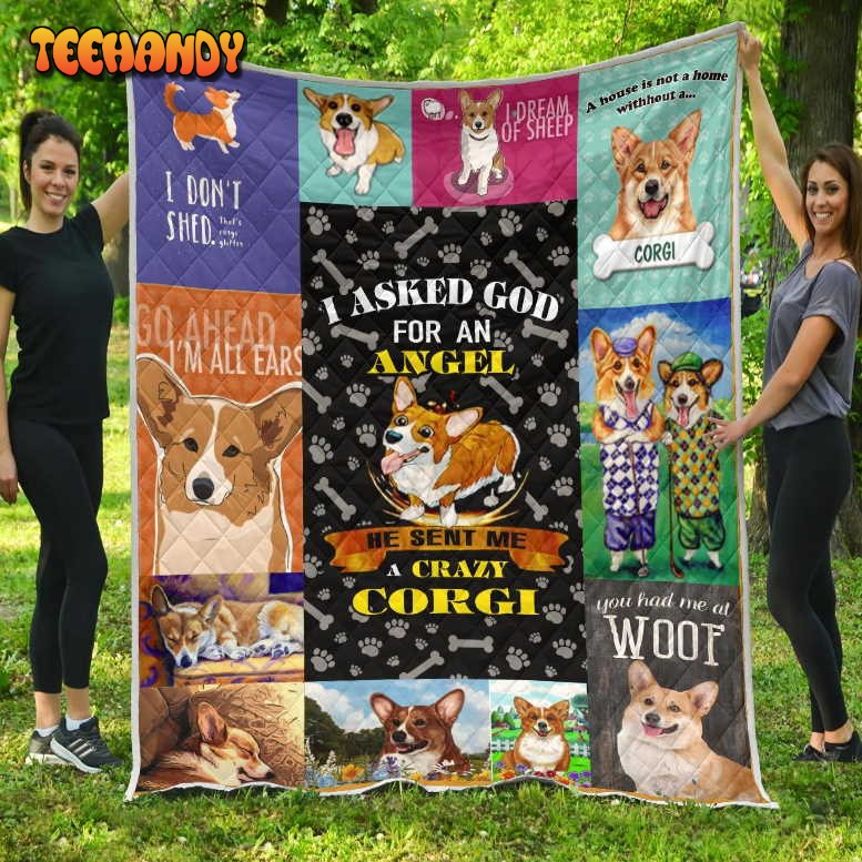 Corgi A Crazy Corgi 3D Quilt Blanket